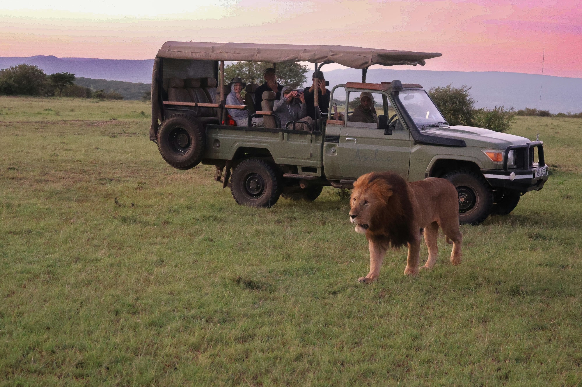 Naboisho Conservancy, Maasai Mara, Kenya — watching lions from a private game vehicle at sunset