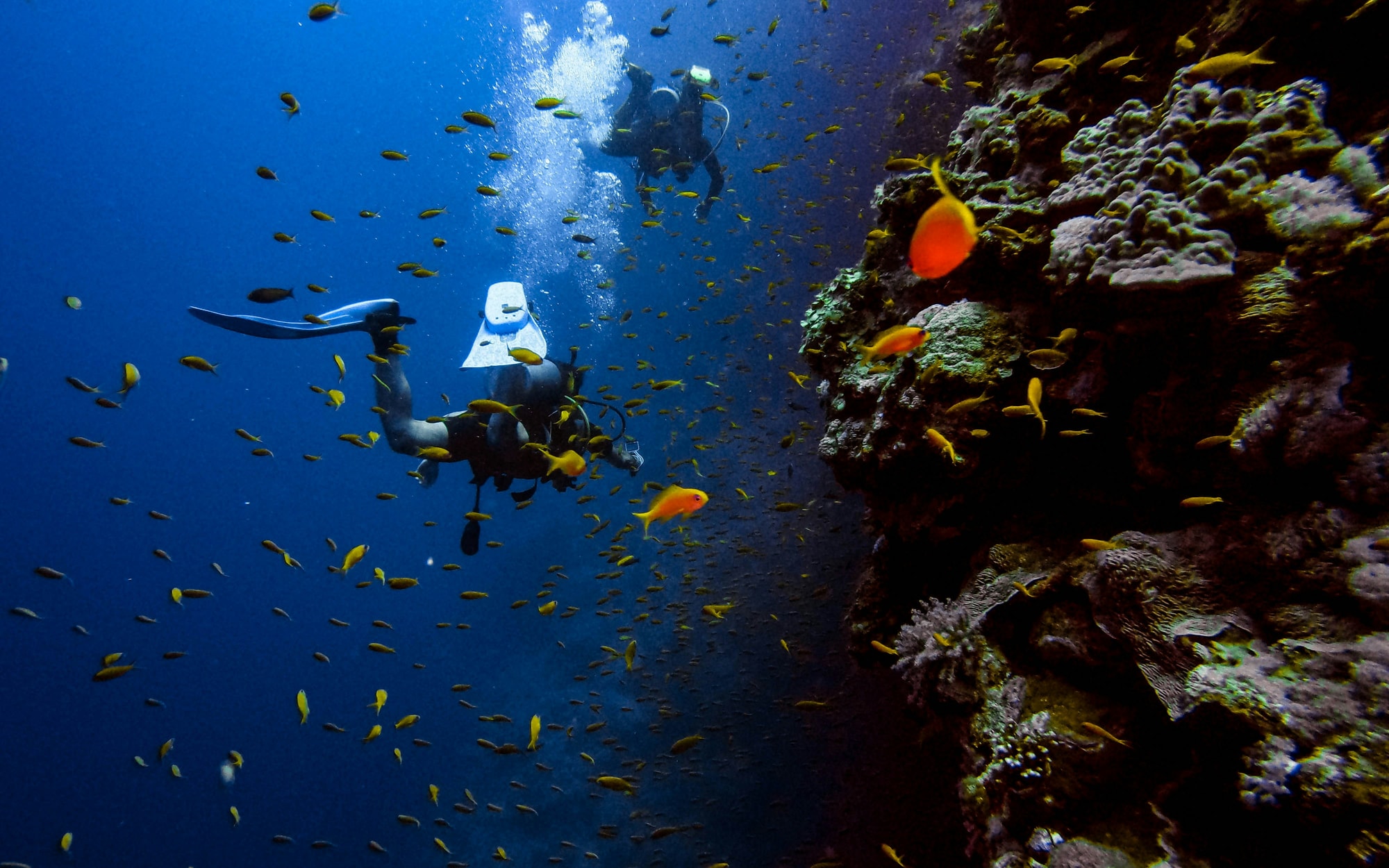 Sharm el-Sheikh, Red Sea, Egypt — diving the coral reefs of the northern Red Sea