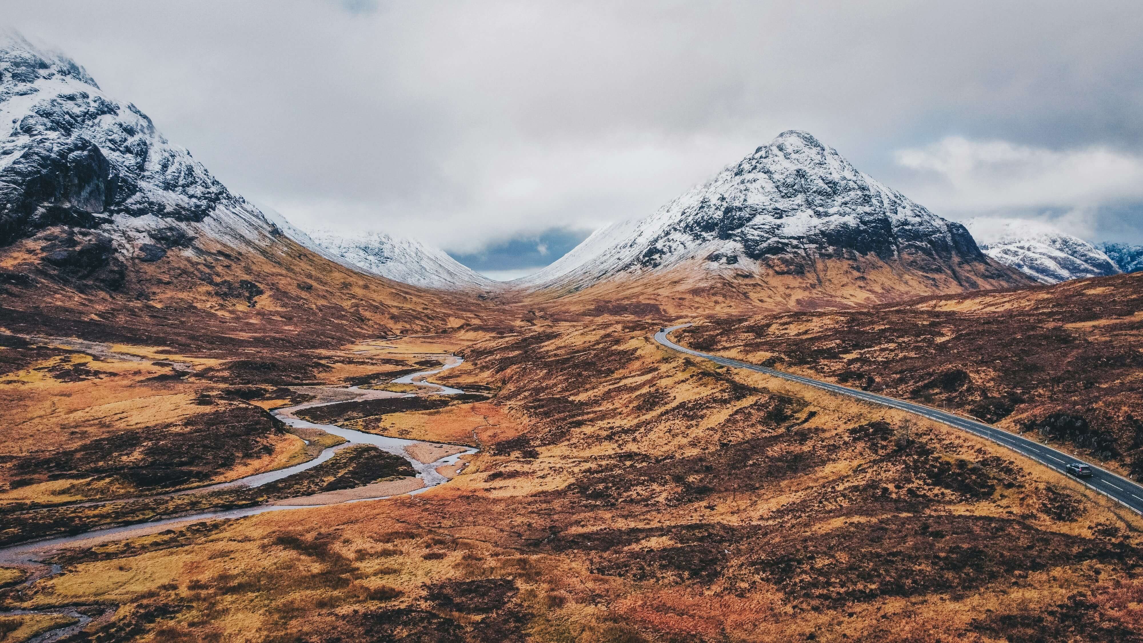 British Isles wildlife