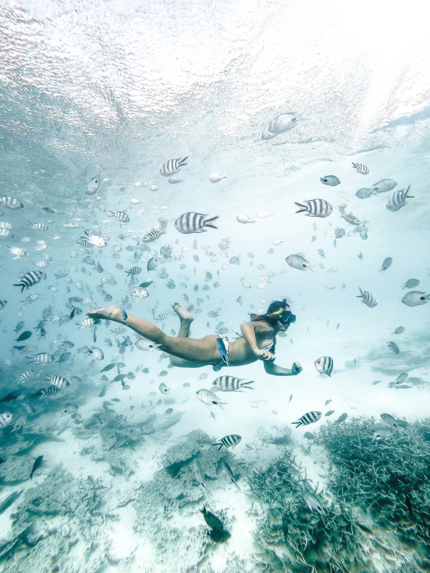 Mauritius — snorkelling among reef fish in the lagoon