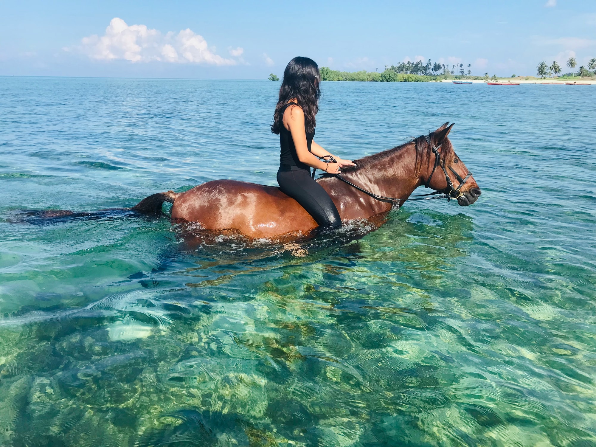 Nungwi Beach, Zanzibar — horse riding through the turquoise shallows at Nungwi