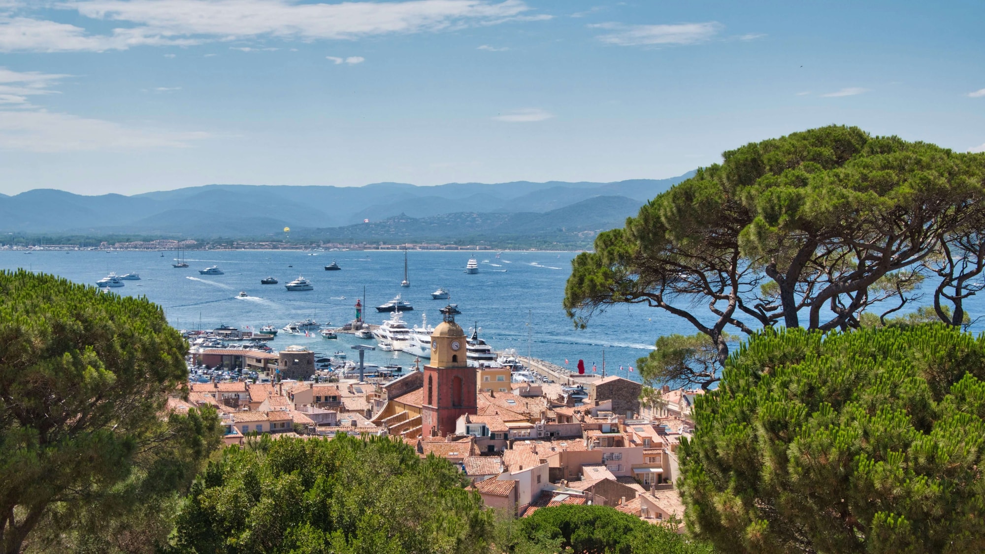 Saint-Tropez, Côte d'Azur — looking down on the old harbour through the umbrella pines