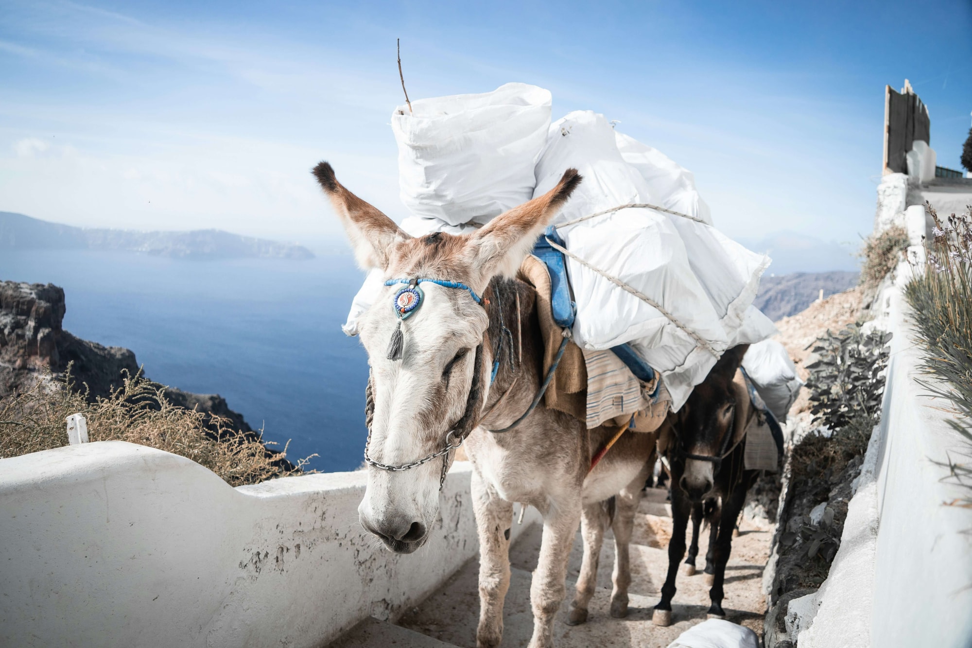 Santorini — walking the old donkey path between Fira and Oia