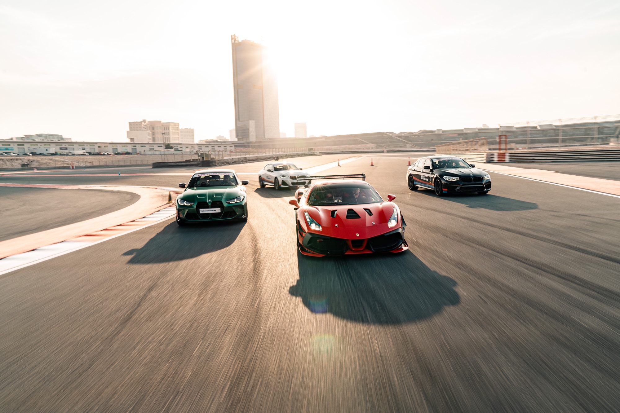 Middle East wildlife